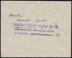1915 Tábori Posta Boríték / Field Post Cover 'Mobiles Pferdo Spital Nr. 6. Korpstrain Gruppe 3/17 Feldpost 116-Expositur - Autres & Non Classés