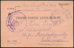 1915 Tábori Posta Levelezőlap / Field Postcard 'TP 9' - Sonstige & Ohne Zuordnung