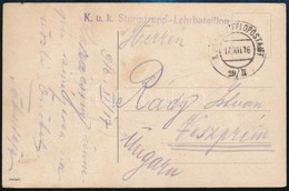 1916 Tábori Posta Képeslap / Field Postcard 'K.u.k. Sturmtrupp - Lehrbataillon' + 'HP 19/II' - Sonstige & Ohne Zuordnung