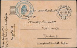 1916 Tábori Posta Levelezőlap / Field Postcard 'M.kir. Budapesti II. Mozgó Népfölkelési Bemutató Szemlebizottság' + 'FP  - Otros & Sin Clasificación