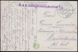 1916 Tábori Posta Képeslap / Field Postcard 'K.u.k. Schlachtviehdepotsektion 3/8' + 'FP 240' - Otros & Sin Clasificación