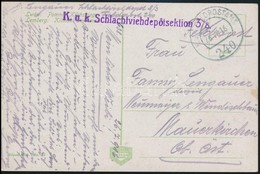 1916 Tábori Posta Képeslap / Field Postcard 'K.u.k. Schlachtviehdepotsektion 3/8' + 'FP 240' - Other & Unclassified