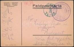 1916 Tábori Posta Levelezőlap Montenegróból / Field Postcard 'K.u.k. Festungsartillerieregiment Freih. V. Rouvroy Nr.5.  - Other & Unclassified