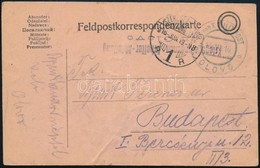 1916 Tábori Posta Levelezőlap Bosznia-Hercegovinából / Field Postcard From Bosnia And Herzegovina 'Kriegsgefangenen Arbe - Other & Unclassified