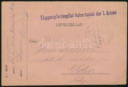 1917 Tábori Posta Levelezőlap / Field Postcard 'Etappenpferdespital Hubertuslak Der 1. Armee' + 'VÁLASZÚT' - Sonstige & Ohne Zuordnung