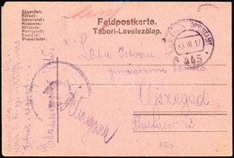 1917 Tábori Posta Levelezőlap / Field Postcard 'EP 445'' - Sonstige & Ohne Zuordnung