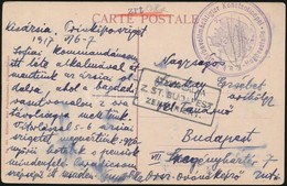 1917 Tábori Posta Képeslap / Field Postcard 'K.u.k. Militärbevollmächtigter Konstantinopel Hughesstelle' - Sonstige & Ohne Zuordnung