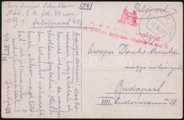 1917 Tábori Posta Képeslap / Field Postcard 'K.u.k. Ersatz-Abteilung F.d. 24 Cm. Mörser-Batterie No.9.' + 'FP 451' - Sonstige & Ohne Zuordnung