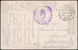 1917 Tábori Posta Képeslap / Field Postcard 'FERENCZY SZÁZAD ... FELKELŐ GYALOGZÁSZLÓALJ' + 'FP 371' - Altri & Non Classificati