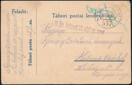 1918 Tábori Posta Levelezőlap / Field Postcard 'M.kir. Budapesti 30. Népf. Gy. Ezred' + 'FP 557 B' - Autres & Non Classés