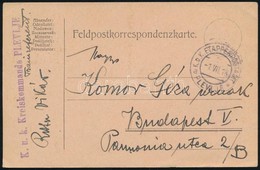 1918 Tábori Posta Levelezőlap / Field Postcard 'K.u.k. Kreiskommando PLEVLJE' + 'EP PLEVLJE A' - Autres & Non Classés