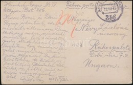 1918 Tábori Posta Képeslap / Field Postcard 'K.u.k. Divisionsausbildungsgruppe No.11. Heimkehrlager IV.' + 'EP 256' - Sonstige & Ohne Zuordnung