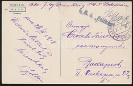 1918 Tábori Posta Képeslap / Field Postcard 'S.M.S. Pelikan' - Sonstige & Ohne Zuordnung