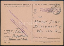 1943 Tábori Posta Levelezőlap / Field Postcard From Polish Internment Camp 'M.kir. Katonai Internáló (lengyel) Táborpara - Autres & Non Classés