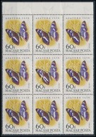 ** 1959 Lepke 60f Kilences Tömb, Benne A Lemezhibás Bélyeg. Összefüggésben Ritka! / Mi 1636 Block Of 9 With Plate Variet - Altri & Non Classificati