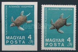 ** 1969 Földtani Intézet 4Ft Vágott, Fekete Színnyomat Nélkül (40.000) / Mi 2526 Imperforate, Black Colour Omitted - Autres & Non Classés