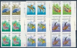 ** 1987 Akváriumi Díszhalak Vágott Sor ívszéli Négyestömbökben (22.000) / Mi 3877-3882 Imperforate Set In Margin Blocks  - Sonstige & Ohne Zuordnung