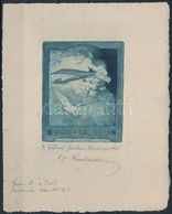 1903 Ludwig Hesshaimer Brassói Születésű Grafikus, Bélyegtervező Repülő + Galamb Légiposta Bélyegterve A Művész által Al - Other & Unclassified