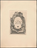 Gara Arnold (1882-1929): Ex Libris Rosa Braun 1913. Rézkarc, Papír. 10x15 Xm - Other & Unclassified