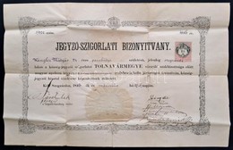 1886 Jegyző-szigorlati Bizonyítvány. Szekszárd, Tolna Megye. 46x31 Cm Hajtásnyomokkal - Unclassified