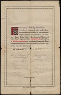 1918 Zeneakadémia, énektanítói Oklevél Kodály Zoltán, Weiner Leó,  Kacsoh Pongrác és Más Neves Tanárok Saját Kezű Aláírá - Sonstige & Ohne Zuordnung