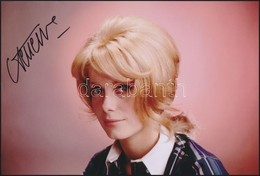 Catherine Deneuve (1943-) Francia Színésznő Aláírt Fotó / Autograph Signature On Photo 20x30  Cm - Sonstige & Ohne Zuordnung