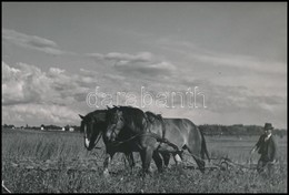 Cca 1940 Osoha László (1899-1970): Szántás Csurgó Határában, 2 Db Vintage Fotóművészeti Alkotás, Az Egyik Pecséttel Jelz - Sonstige & Ohne Zuordnung