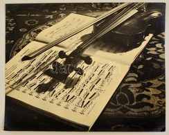 Cca 1933 Pöltinger Gusztáv (?-?) Soproni Fotóművész Hagyatékából Jelzés Nélküli, Vintage Fotóművészeti Alkotás (Csendéle - Autres & Non Classés