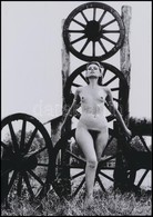 Cca 1972 Inspiráló Látványok, Szolidan Erotikus Felvételek, 8 Db Vintage Fotó és/vagy Mai Nagyítás Vegyesen, + 13 Db Vin - Altri & Non Classificati