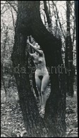 Cca 1970 Fűben, Fában Van Az Orvosság, Szolidan Erotikus Vintage Fotó, 24x14 Cm - Autres & Non Classés