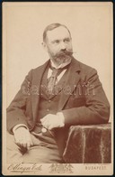 Cca 1895 Dessewffy Arisztid (1854-1922) Képviselőházi Háznagyi Titkár, Politikai író, Keményhátú Fotó Ellinger Ede Budap - Sonstige & Ohne Zuordnung