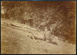 Cca 1905 Cornides György Főerdőtanácsos (Bereg Vármegye) Az általa Elejtett Szarvasbikával, Fotó, 12×17 Cm - Sonstige & Ohne Zuordnung