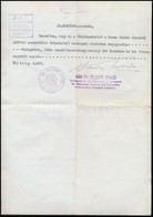 1944 Svájci Követségi Védlevél (Schutzpass) Hiteles Másolata Hercz Sándor és Családja Részére, Hátulján Közjegyzői Hitel - Altri & Non Classificati
