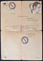 1944 A Dominikai Köztársaság Budapesti Konzulátusának Igazolása Beutazási Engedély Kéréséről és Védelemről, Fényképpel ( - Sonstige & Ohne Zuordnung