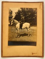 1920 Katona Fehér Lovon, Fotó, Kartonra Ragasztva, Feliratozva, 22,5×17 Cm - Non Classificati