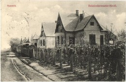 T2/T3 Balatonkeresztúr-fürdő, Nyaralók Szőlőskerttel. Sujánszky József Kiadása (EK) - Ohne Zuordnung