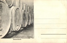 ** T2/T3 Cegléd, Végh Sándor Szőlőnagybirtokos Szőlő és Pincegazdasága, Pince Belső Boroshordókkal / Hungarian Vineyard  - Non Classés