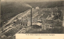 T2 1908 Algyógy, Geoagiu; M. Kir. állami Vasgyárak Szanatóriuma. Adler Fényirda / Sanatorium Of The Iron Works - Non Classés