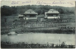 1914 Báznafürdő, Baile Bazna, Bad-Baassen; Villa Éltető, Tó / Villas, Lake (EK) - Unclassified