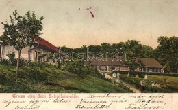T2/T3 1904 Beszterce, Bistritz, Bistrita; Schullerwald Erdő, étterem / Forest Restaurant (ázott Sarok / Wet Corner) - Unclassified