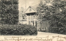 T2/T3 1910 Borszék, Borsec; Lobogó-fürdő / Spa (EB) - Ohne Zuordnung