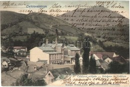 T2 1905 Csiklovabánya, Csiklóbánya, Csiklova, Ciclova Montana; Sörfőzde. Weisz Félix Kiadása / Bräuhaus / Brewery - Ohne Zuordnung