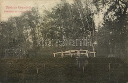 T2/T3 1907 Kisjenő, Chisineu-Cris; Uradalmi Háda északi Része, Hintó. Kaufmann Manó és Társa Kiadása / Manorial Park Wit - Non Classés