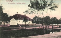 T2 1915 Mezőtelegd, Tileagd; Erzsébet Tér, Juricskay Kastély / Schloss / Castle - Ohne Zuordnung