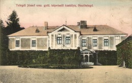 T2 1915 Mezőtelegd, Tileagd; Telegdi József Országgyűlési Képviselő Kastélya / Castle / Schloss - Ohne Zuordnung