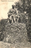 T2/T3 1915 Nagykároly, Carei; Kölcsey Szobor, Kiadja Csókás László / Statue (EK) - Ohne Zuordnung