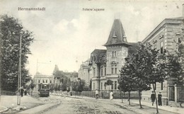 * T2 1911 Nagyszeben, Hermannstadt, Sibiu; Schewis Utca, Villák, Villamos. Jos. Drotleff / Schewisgasse / Street View Wi - Non Classés