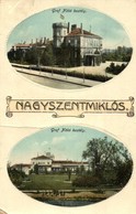 T3 1913 Nagyszentmiklós, Sannicolau Mare; Gróf Nákó Kastély / Castle. Art Nouveau (fa) - Non Classés