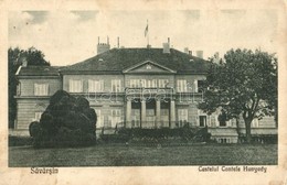 * T2/T3 Soborsin, Savarsin; Hunyadi Gróf Kastély / Castelul Contele Hunyady / Castle  (fl) - Non Classés