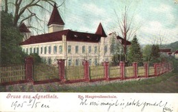 T2/T3 1905 Szentágota, Agnetheln, Agnita; Evangélikus Felső Elemi Iskola / Ev. Hauptvolksschule / School (EK) - Ohne Zuordnung